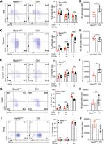 CD27 Antibody in Flow Cytometry (Flow)