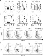 CD152 (CTLA-4) Antibody in Flow Cytometry (Flow)