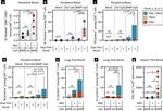 CD44 Antibody in Flow Cytometry (Flow)