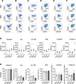 CD45 Antibody in Flow Cytometry (Flow)