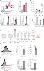 CD59 (Protectin) Antibody in Flow Cytometry (Flow)