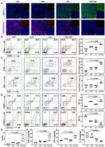 CD80 (B7-1) Antibody in Flow Cytometry (Flow)