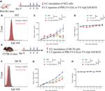 CD326 (EpCAM) Antibody in Flow Cytometry (Flow)