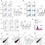 IL-33R (ST2) Antibody in Flow Cytometry (Flow)