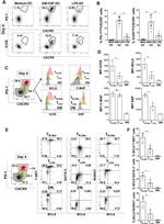 c-MAF Antibody in Flow Cytometry (Flow)