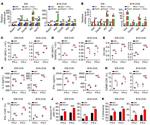 OVA257-264 (SIINFEKL) peptide bound to H-2Kb Antibody in Flow Cytometry (Flow)