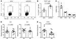 TIGIT Antibody in Flow Cytometry (Flow)