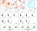 CD105 (Endoglin) Antibody in Flow Cytometry (Flow)