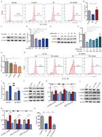 IL-22 Antibody in Flow Cytometry (Flow)