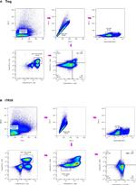 EBI3 (IL-27 subunit) Antibody in Flow Cytometry (Flow)