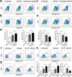 B7-H4 Antibody in Neutralization (Neu)