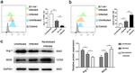 B7-H4 Antibody in Neutralization (Neu)