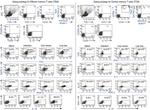 Gata-3 Antibody in Flow Cytometry (Flow)