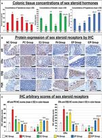 Progesterone Receptor Antibody in Immunohistochemistry (IHC)