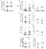 CD4 Antibody in Flow Cytometry (Flow)