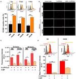 VCAM-1 Antibody in Flow Cytometry (Flow)