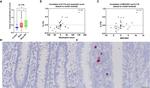 MUC5AC Antibody in Immunohistochemistry (IHC)