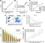 CD4 Antibody in Flow Cytometry (Flow)