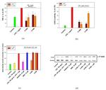 IL-1 beta Antibody in Western Blot (WB)