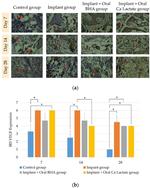 VEGF Antibody in Immunohistochemistry (IHC)