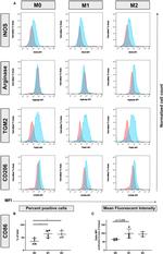 iNOS Antibody in Flow Cytometry (Flow)