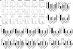 MRC1 Antibody in Flow Cytometry (Flow)