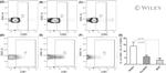 LKB1 Antibody in Flow Cytometry (Flow)