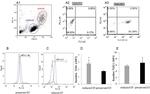 CD284 (TLR4) Antibody in Flow Cytometry (Flow)