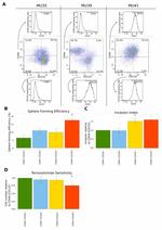 SSEA1 Antibody in Flow Cytometry (Flow)