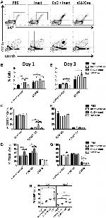 CD8a Antibody in Flow Cytometry (Flow)