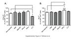 CD8a Antibody in Flow Cytometry (Flow)