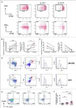 CD278 (ICOS) Antibody in T-Cell Activation (TCA)