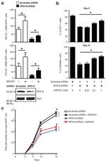 CD235a (Glycophorin A) Antibody in Flow Cytometry (Flow)