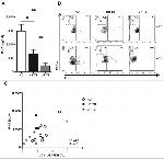 IFN gamma Antibody in ELISA (ELISA)