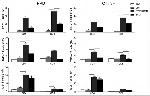 IL-2 Antibody in Flow Cytometry (Flow)