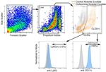 Ly-6G/Ly-6C Antibody in Flow Cytometry (Flow)