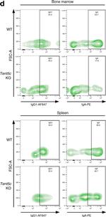 Mouse IgG1 Cross-Adsorbed Secondary Antibody in Flow Cytometry (Flow)