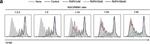 Mouse IgG1 kappa Isotype Control in Flow Cytometry (Flow)