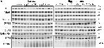 Rabbit IgG (H+L) Highly Cross-Adsorbed Secondary Antibody in Western Blot (WB)