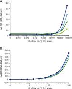 IL-6 Antibody in ELISA (ELISA)