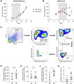 CD3 Antibody in Flow Cytometry (Flow)