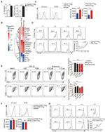 CD278 (ICOS) Antibody in Flow Cytometry (Flow)