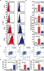 MHC Class II (I-A/I-E) Antibody in Flow Cytometry (Flow)