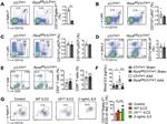 CD4 Antibody in Flow Cytometry (Flow)