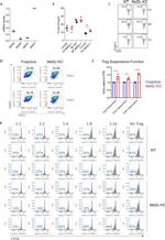 CD4 Antibody in Flow Cytometry (Flow)