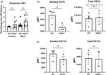 CD18 (LFA-1 beta) Antibody in Flow Cytometry (Flow)