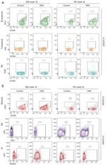 CD33 Antibody in Flow Cytometry (Flow)