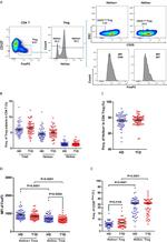 HELIOS Antibody in Flow Cytometry (Flow)