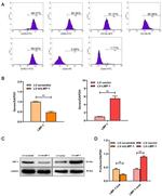 CD29 (Integrin beta 1) Antibody in Flow Cytometry (Flow)