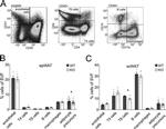 CD31 (PECAM-1) Antibody in Flow Cytometry (Flow)